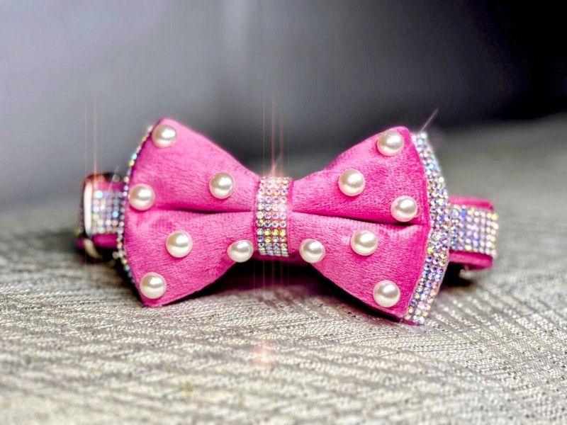 Bling Dog Collars ✨