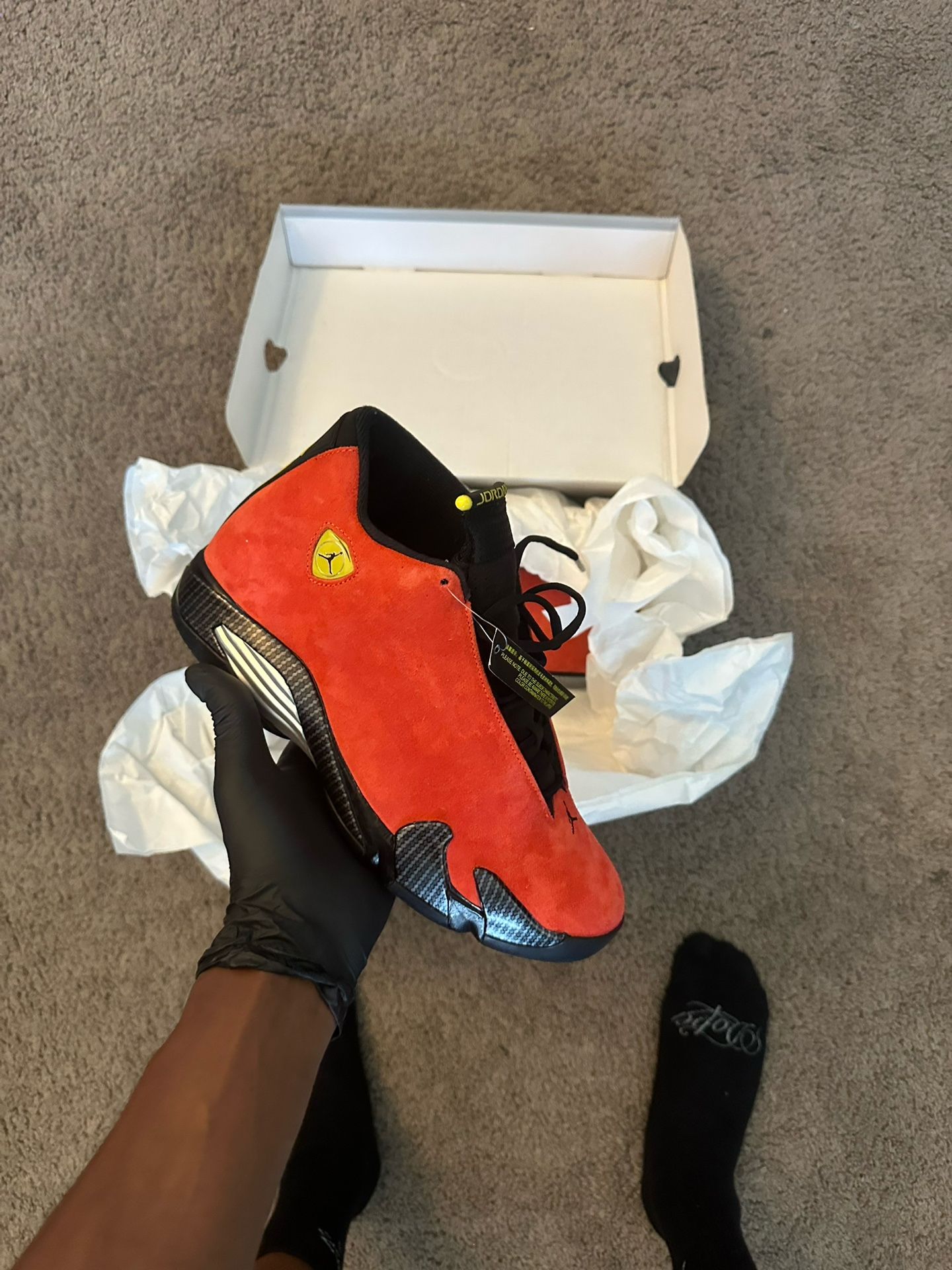 Ferrari 14s