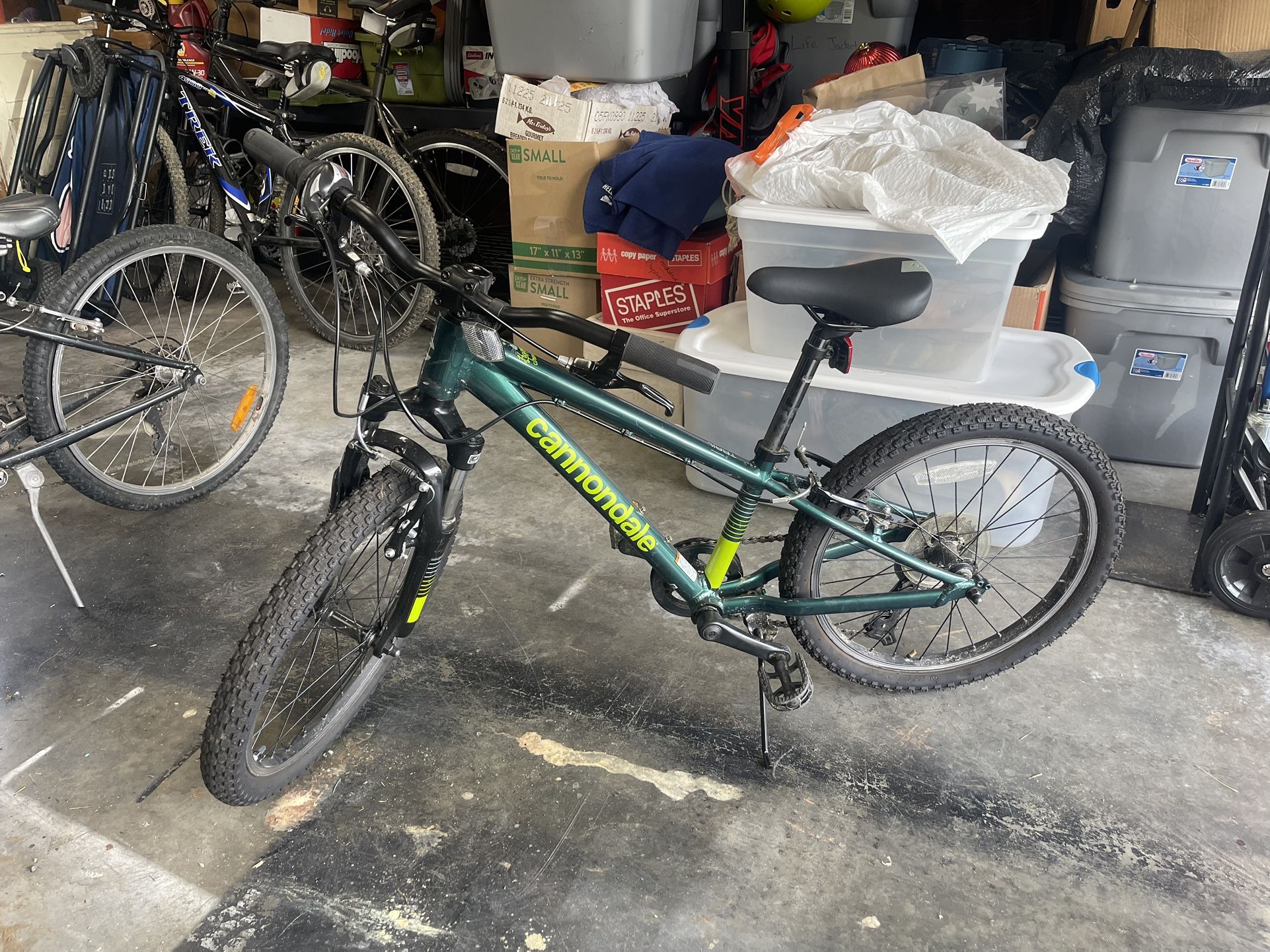 Cannondale Kids Bike