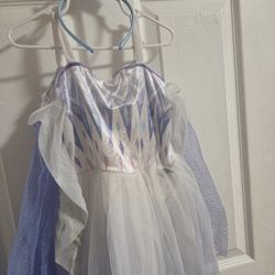 Disney Frozen Elsa dress and accesorie, Size 3T/4T