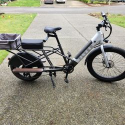 Flyer L885 Electric Cargo Ebike