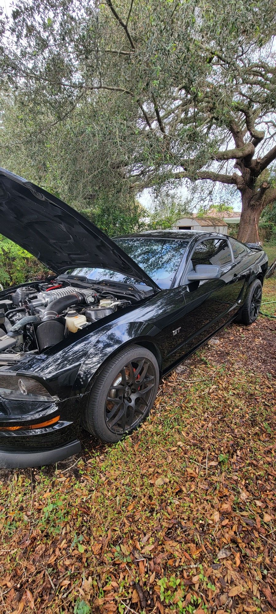 2005 Ford Mustang