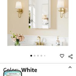 Mirror Medicine Cabinet 
