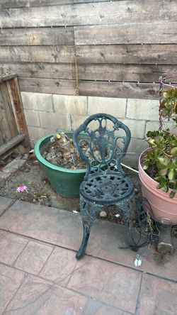 Free plant and chair