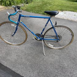 10 Speed Schwinn Bike