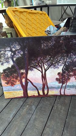Canvas painting on wood frame