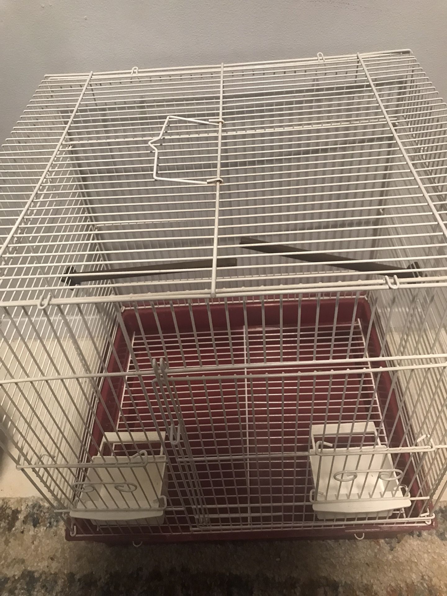 Bird Cage Free