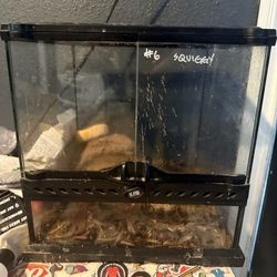 Reptile Tank