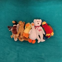 Ty Stuffed Animals