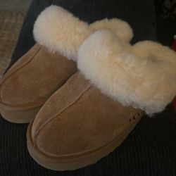 Ugg Sheep Skin Slippers