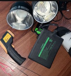 Reptile Lights
