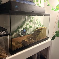 30 gallon tank/reptile enclosure furnished
