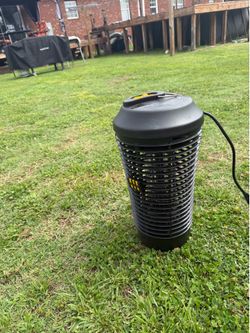 Bug lantern