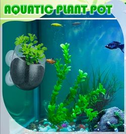 Small aquarium plant holder