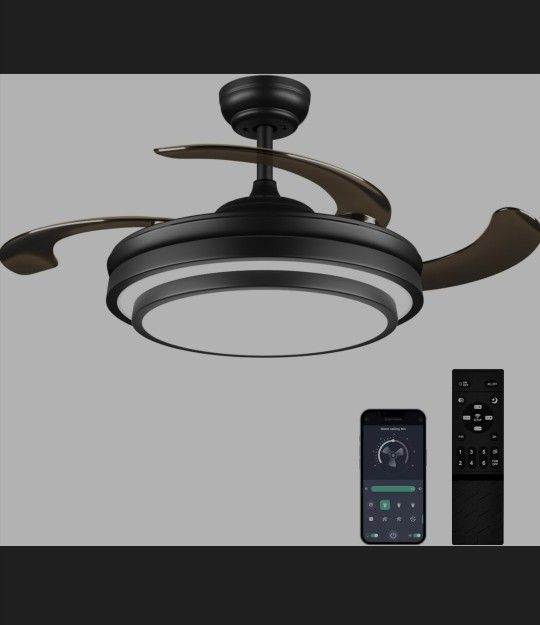 Fan With Light