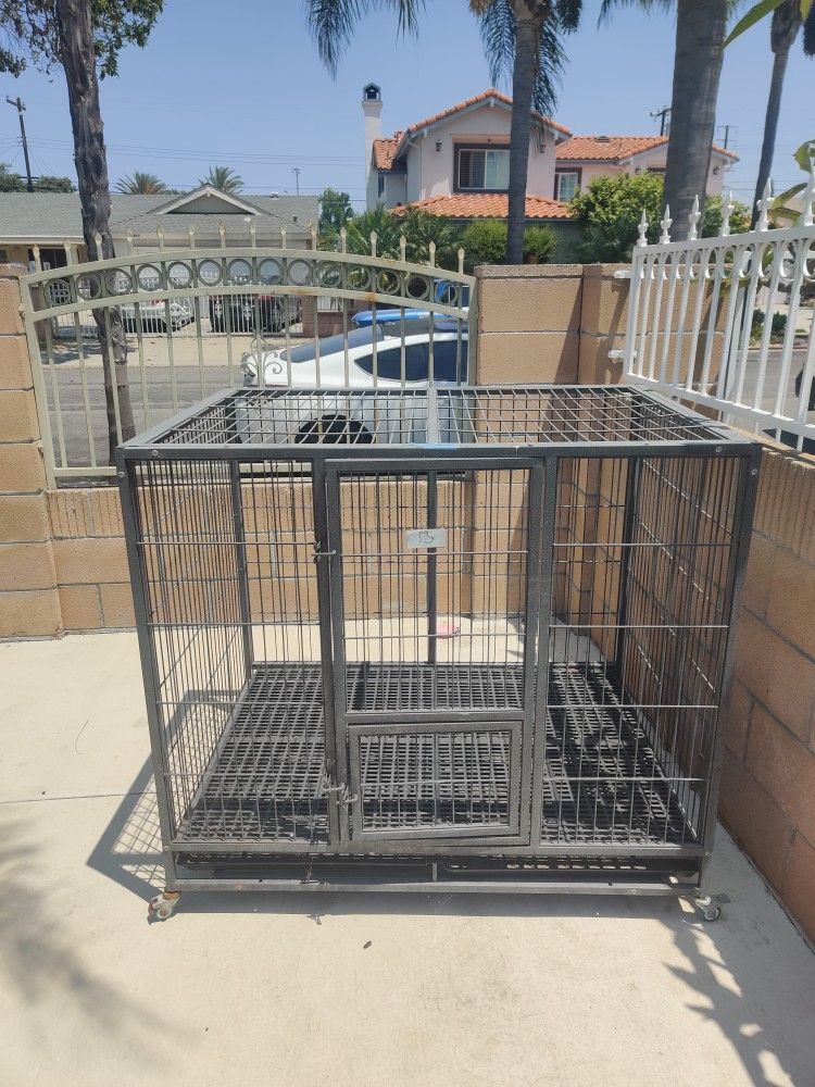 Large Dog Kennel