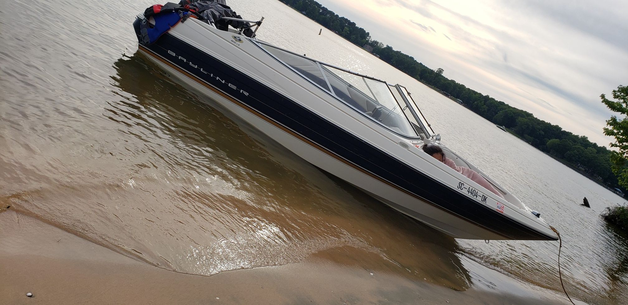 Bayliner 97