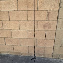 Shimano Fishing Rod, Good for Catching live bait