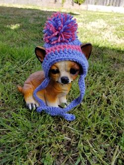 Dog beanie