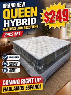 🇺🇸🇺🇸QUEEN HYBRID SET $249