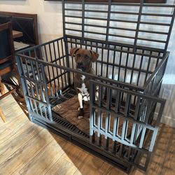Large Dog Crate