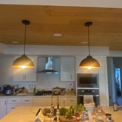 2 Light Pendant / Fixture