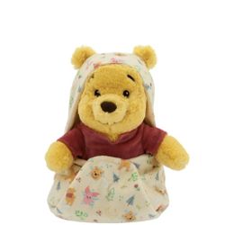 Disney Parks Babies Winnie The Pooh Blanket Pouch Plush 