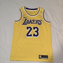 LeBron James Jersey