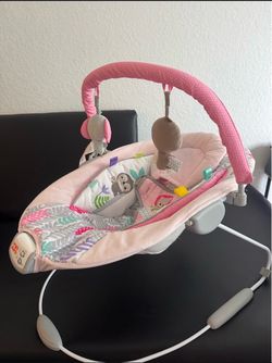 Bright Starts Baby Bouncer Seat Pink
