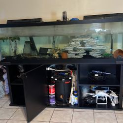 Two Fish Tanks, 125gl & A 75gl With Pumps For $300 Or Best Offer