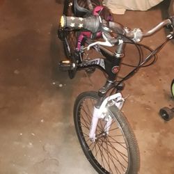 Schwinn 24 Sidewinder