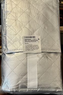 Insulated Cooler Bags, (2 Bags) only $7.00 - Silver Color