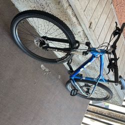 GT Avalanche Bike