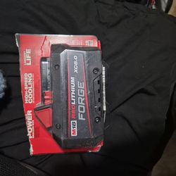 Milwaukee 8.0 battery