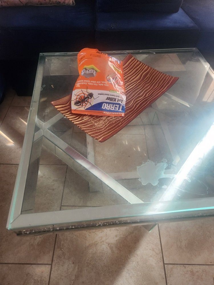 Glass Coffee Table Wayfair Bought