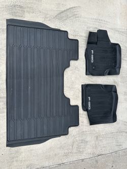 Ford F-150 super crew floor mats.