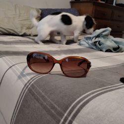 Kate Spade Sun Glasses