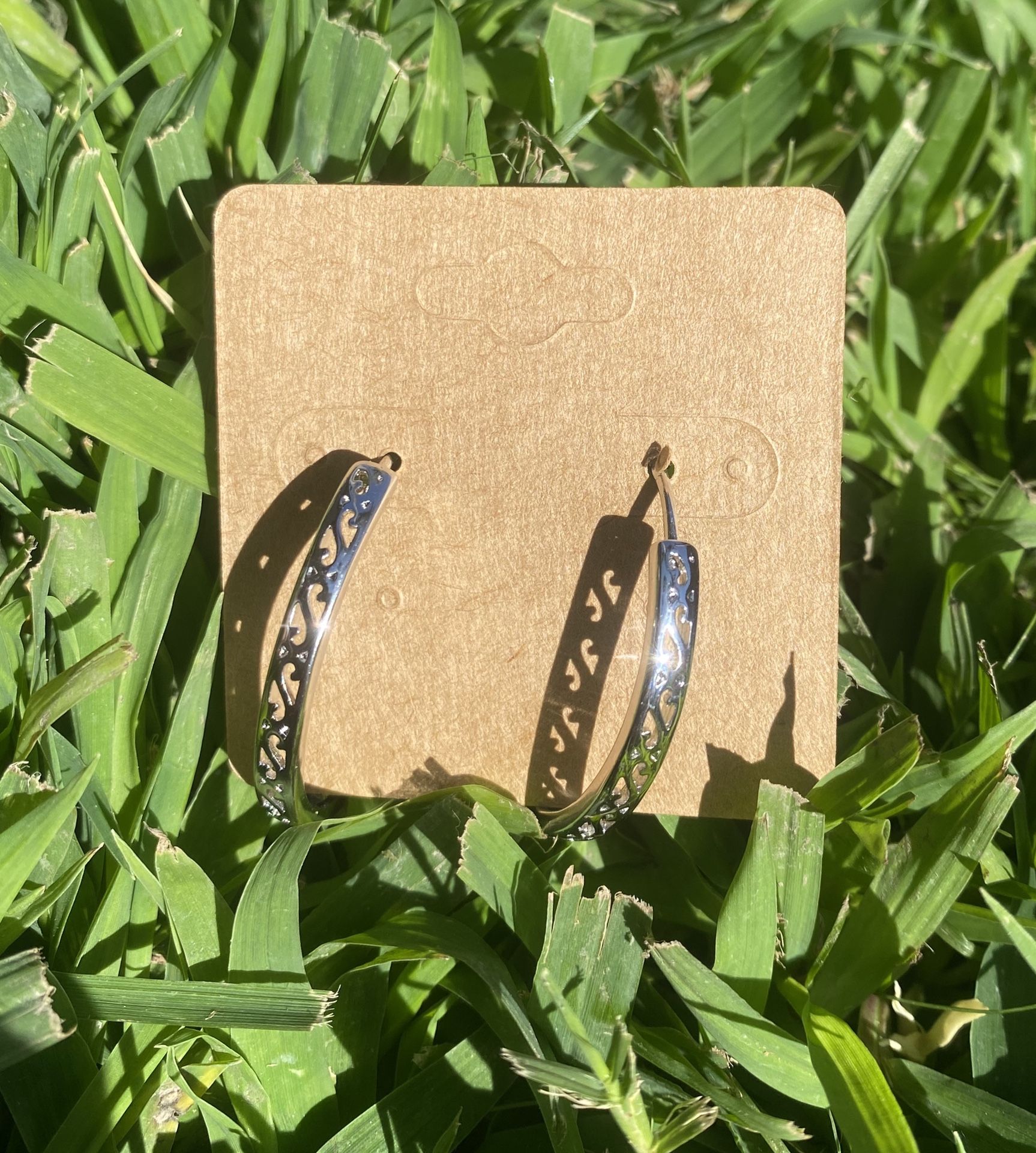 Shiny Silver Hoops