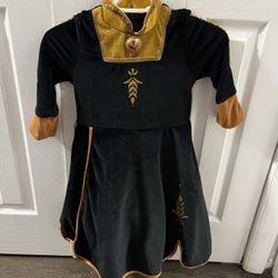 Disney Frozen 2 Anna Dress / Costume