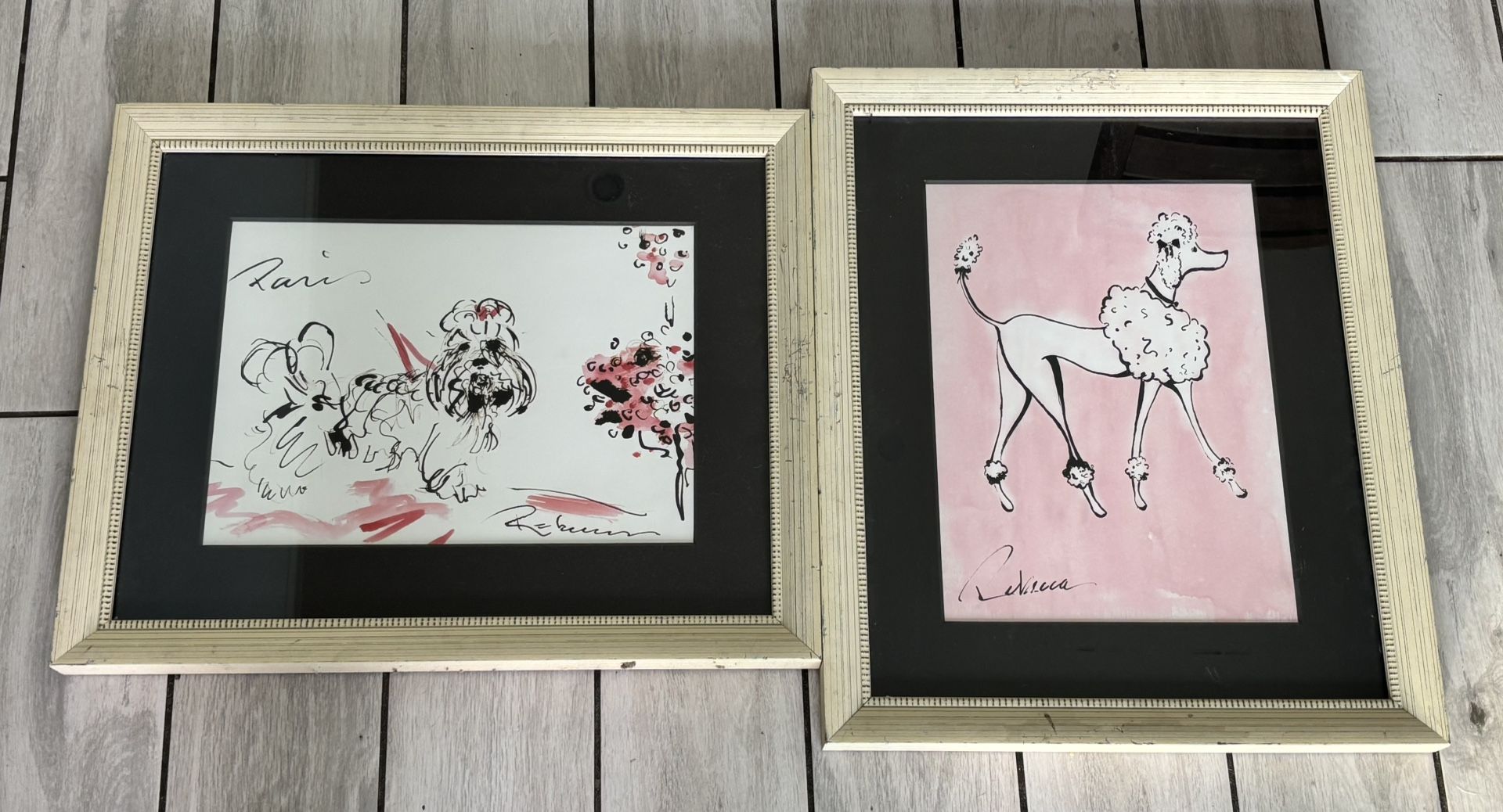 Shih Tzu & Poodle Dog Framed Prints by Rebecca Cope