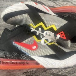 Nike Air zoom vomero 6 time squad