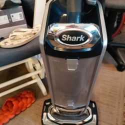 Shark 
