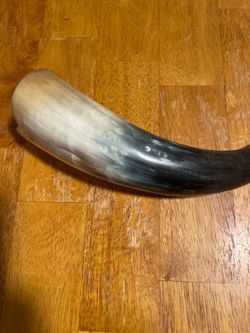 ANTIQUE 17TH CENTURY AMERICAN CIVIL WAR ERRA BULL HORN 14” BEST OFFER