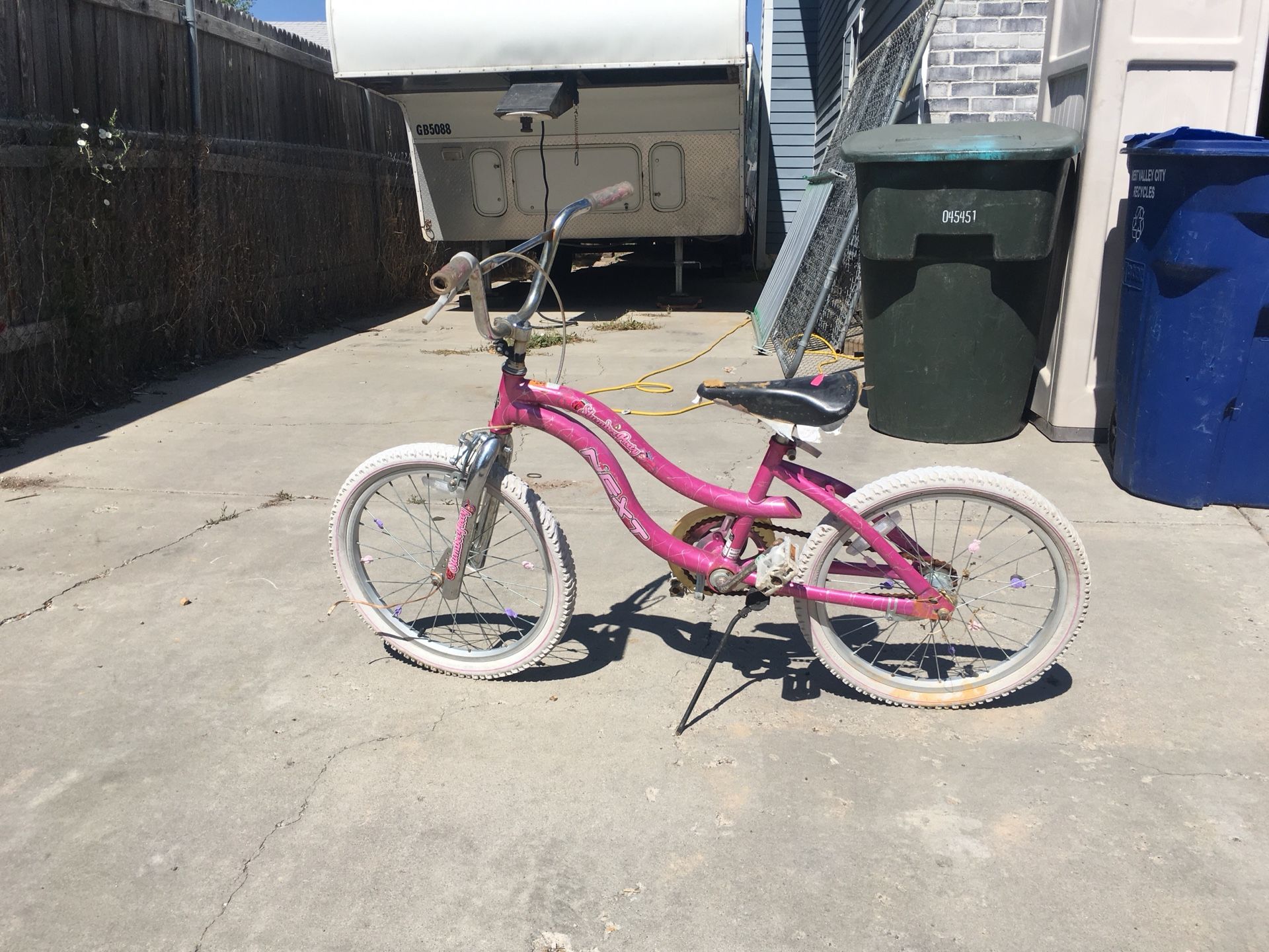 20 in girls bike