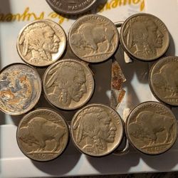 Buffalo Head Nickel Belt Buckle 