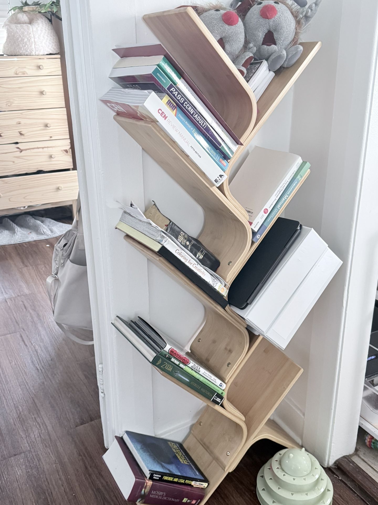 Funky Bookshelf