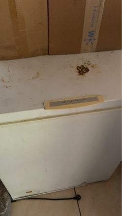 FREE DEEP FREEZER