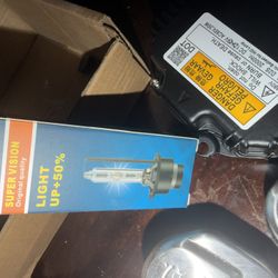 Xenon Headlights