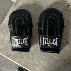 Everlast Bag Mitts