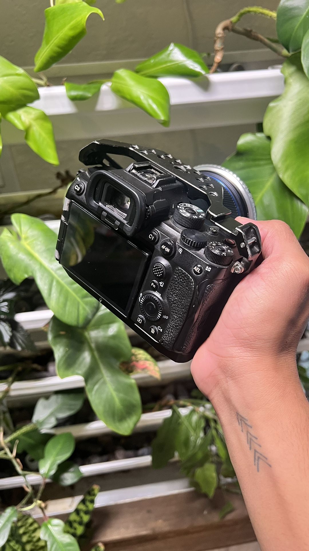 sony a7siii 